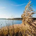 Hébergement de vacances Ferienhaus-see-sauna-kamin-hund Mit E-ladestation *