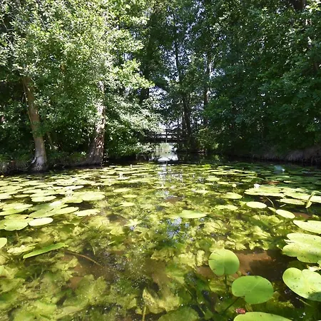 Ferienhaus-see-sauna-kamin-hund Mit E-ladestation Casa vacanze *